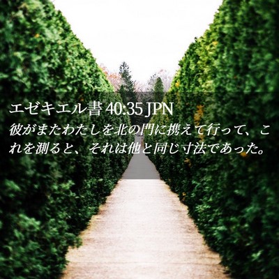 Picture 02 - エゼキエル書 40:35 JPN - 彼がまたわたしを北の門に携えて行 - Bible Verse Picture