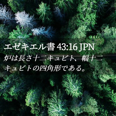 Picture 02 - エゼキエル書 43:16 JPN - 炉は長さ十二キュビト、幅十二キュ - Bible Verse Picture