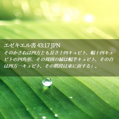 Picture 02 - エゼキエル書 43:17 JPN - そのかさねは四方とも長さ十四キュ - Bible Verse Picture