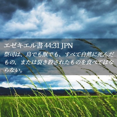 Picture 02 - エゼキエル書 44:31 JPN - 祭司は、鳥でも獣でも、すべて自然 - Bible Verse Picture