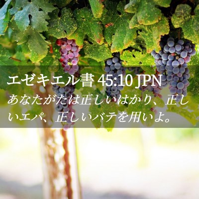 Picture 02 - エゼキエル書 45:10 JPN - あなたがたは正しいはかり、正しい - Bible Verse Picture