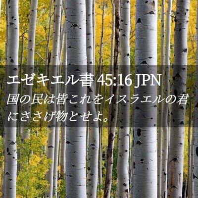 Picture 02 - エゼキエル書 45:16 JPN - 国の民は皆これをイスラエルの君に - Bible Verse Picture