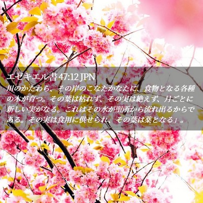 Picture 02 - エゼキエル書 47:12 JPN - 川のかたわら、その岸のこなたかな - Bible Verse Picture