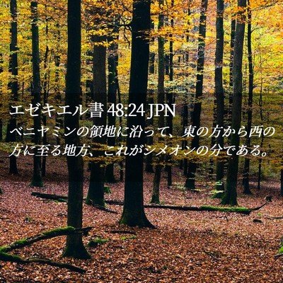 Picture 02 - エゼキエル書 48:24 JPN - ベニヤミンの領地に沿って、東の方 - Bible Verse Picture