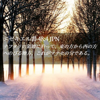 Picture 02 - エゼキエル書 48:4 JPN - ナフタリの領地に沿って、東の方か - Bible Verse Picture