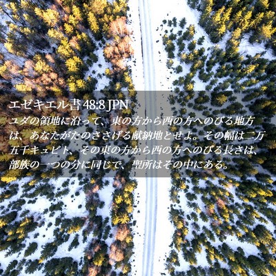 Picture 02 - エゼキエル書 48:8 JPN - ユダの領地に沿って、東の方から西 - Bible Verse Picture