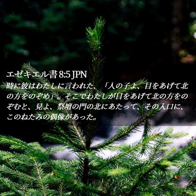 Picture 02 - エゼキエル書 8:5 JPN - 時に彼はわたしに言われた、「人の - Bible Verse Picture