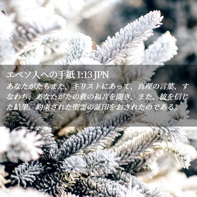 Picture 02 - エペソ人への手紙 1:13 JPN - あなたがたもまた、キリストにあっ - Bible Verse Picture
