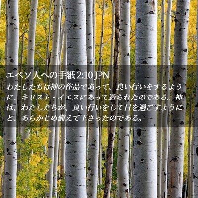 Picture 02 - エペソ人への手紙 2:10 JPN - わたしたちは神の作品であって、良 - Bible Verse Picture