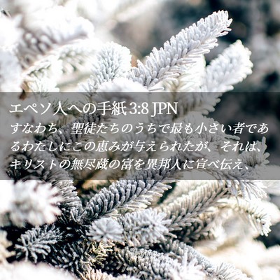 Picture 02 - エペソ人への手紙 3:8 JPN - すなわち、聖徒たちのうちで最も小 - Bible Verse Picture