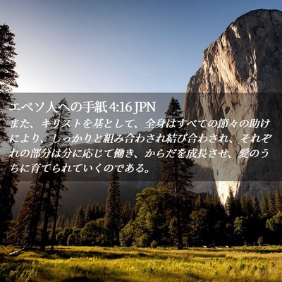 Picture 02 - エペソ人への手紙 4:16 JPN - また、キリストを基として、全身は - Bible Verse Picture