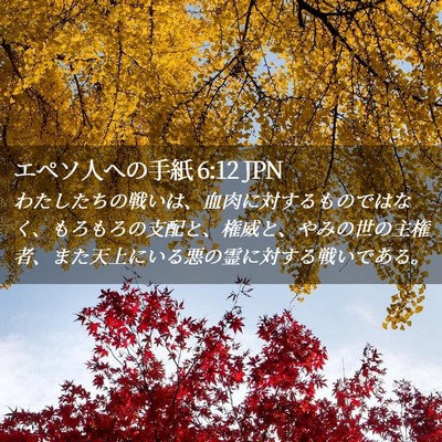Picture 02 - エペソ人への手紙 6:12 JPN - わたしたちの戦いは、血肉に対する - Bible Verse Picture