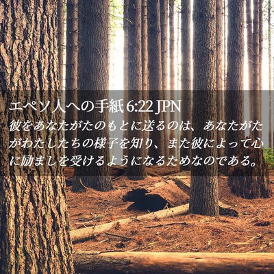 Picture 02 - エペソ人への手紙 6:22 JPN - 彼をあなたがたのもとに送るのは、 - Bible Verse Picture