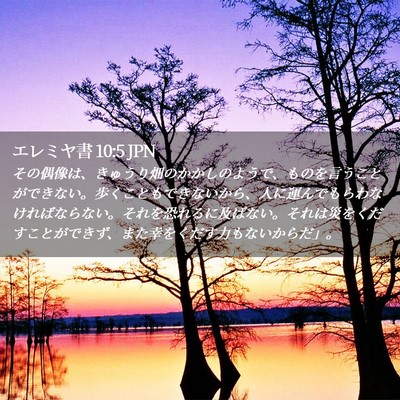 Picture 02 - エレミヤ書 10:5 JPN - その偶像は、きゅうり畑のかかしの - Bible Verse Picture