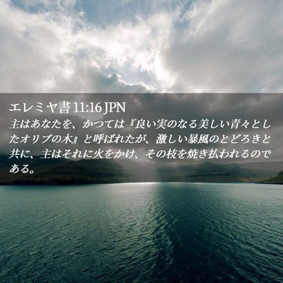 Picture 02 - エレミヤ書 11:16 JPN - 主はあなたを、かつては『良い実の - Bible Verse Picture