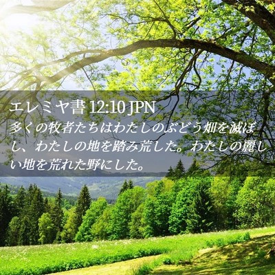 Picture 02 - エレミヤ書 12:10 JPN - 多くの牧者たちはわたしのぶどう畑 - Bible Verse Picture