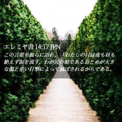 Picture 02 - エレミヤ書 14:17 JPN - この言葉を彼らに語れ、『わたしの - Bible Verse Picture