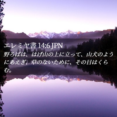 Picture 02 - エレミヤ書 14:6 JPN - 野ろばは、はげ山の上に立って、山 - Bible Verse Picture