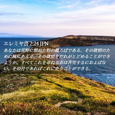 Picture 02 - エレミヤ書 2:24 JPN - あなたは荒野に慣れた野の雌ろばで - Bible Verse Picture