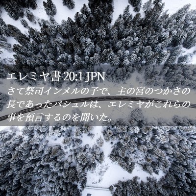 Picture 02 - エレミヤ書 20:1 JPN - さて祭司インメルの子で、主の宮の - Bible Verse Picture