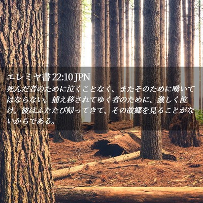 Picture 02 - エレミヤ書 22:10 JPN - 死んだ者のために泣くことなく、ま - Bible Verse Picture