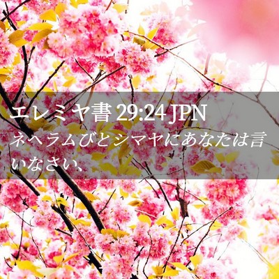 Picture 02 - エレミヤ書 29:24 JPN - ネヘラムびとシマヤにあなたは言い - Bible Verse Picture
