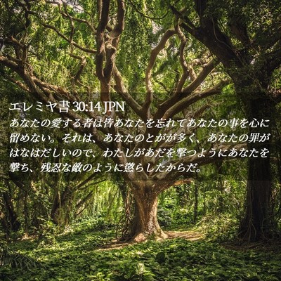 Picture 02 - エレミヤ書 30:14 JPN - あなたの愛する者は皆あなたを忘れ - Bible Verse Picture