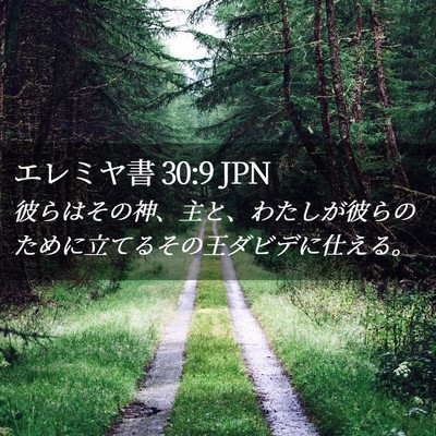 Picture 02 - エレミヤ書 30:9 JPN - 彼らはその神、主と、わたしが彼ら - Bible Verse Picture