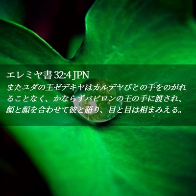 Picture 02 - エレミヤ書 32:4 JPN - またユダの王ゼデキヤはカルデヤび - Bible Verse Picture