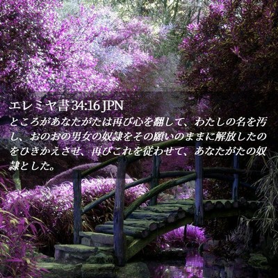 Picture 02 - エレミヤ書 34:16 JPN - ところがあなたがたは再び心を翻し - Bible Verse Picture