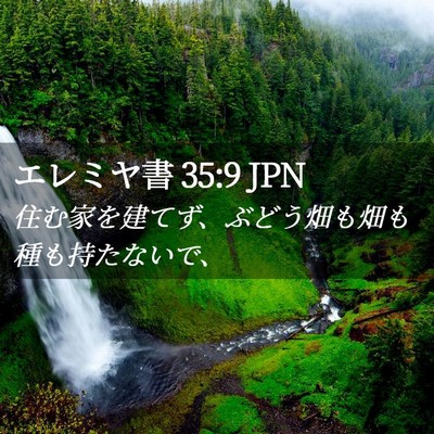 Picture 02 - エレミヤ書 35:9 JPN - 住む家を建てず、ぶどう畑も畑も種 - Bible Verse Picture