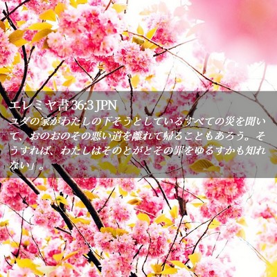 Picture 02 - エレミヤ書 36:3 JPN - ユダの家がわたしの下そうとしてい - Bible Verse Picture
