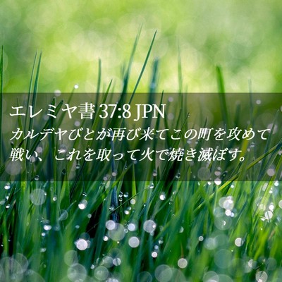 Picture 02 - エレミヤ書 37:8 JPN - カルデヤびとが再び来てこの町を攻 - Bible Verse Picture