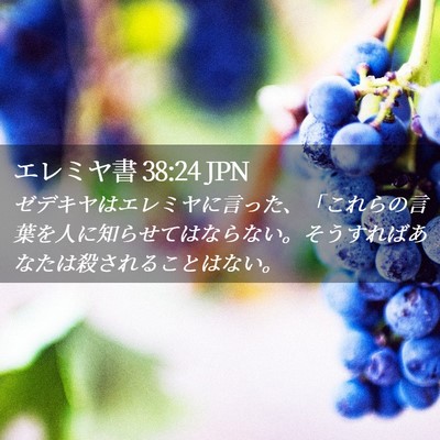 Picture 02 - エレミヤ書 38:24 JPN - ゼデキヤはエレミヤに言った、「こ - Bible Verse Picture