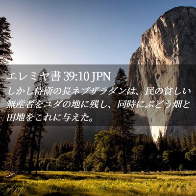 Picture 02 - エレミヤ書 39:10 JPN - しかし侍衛の長ネブザラダンは、民 - Bible Verse Picture