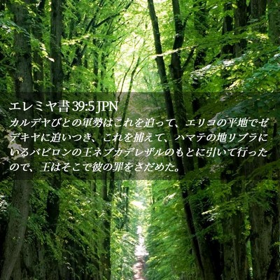 Picture 02 - エレミヤ書 39:5 JPN - カルデヤびとの軍勢はこれを追って - Bible Verse Picture