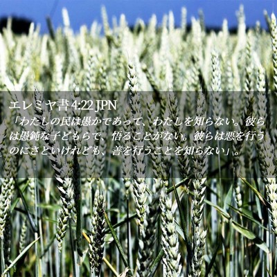 Picture 02 - エレミヤ書 4:22 JPN - 「わたしの民は愚かであって、わた - Bible Verse Picture