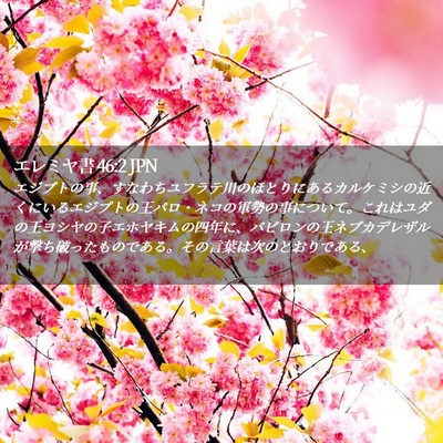 Picture 02 - エレミヤ書 46:2 JPN - エジプトの事、すなわちユフラテ川 - Bible Verse Picture