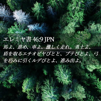 Picture 02 - エレミヤ書 46:9 JPN - 馬よ、進め、車よ、激しく走れ。勇 - Bible Verse Picture