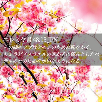 Picture 02 - エレミヤ書 48:13 JPN - その時モアブはケモシのために恥を - Bible Verse Picture