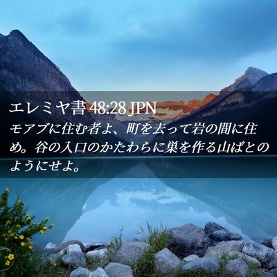 Picture 02 - エレミヤ書 48:28 JPN - モアブに住む者よ、町を去って岩の - Bible Verse Picture