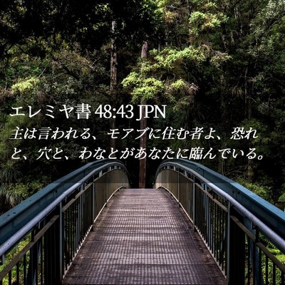Picture 02 - エレミヤ書 48:43 JPN - 主は言われる、モアブに住む者よ、 - Bible Verse Picture