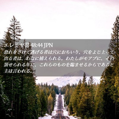 Picture 02 - エレミヤ書 48:44 JPN - 恐れをさけて逃げる者は穴におちい - Bible Verse Picture