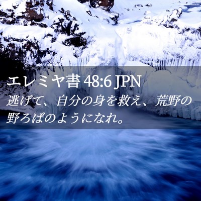 Picture 02 - エレミヤ書 48:6 JPN - 逃げて、自分の身を救え、荒野の野 - Bible Verse Picture