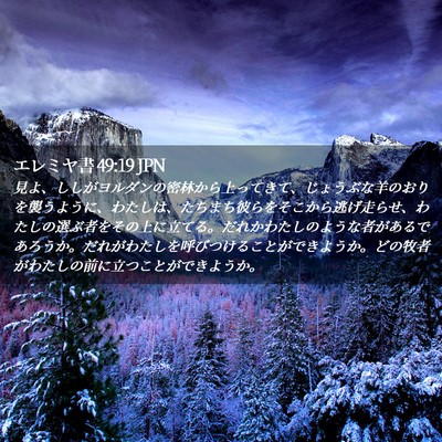 Picture 02 - エレミヤ書 49:19 JPN - 見よ、ししがヨルダンの密林から上 - Bible Verse Picture