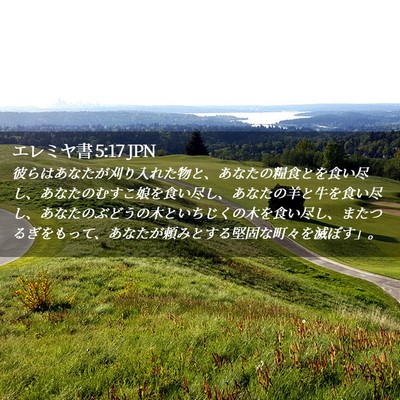 Picture 02 - エレミヤ書 5:17 JPN - 彼らはあなたが刈り入れた物と、あ - Bible Verse Picture