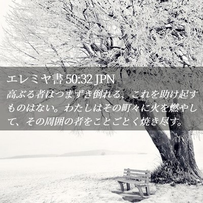 Picture 02 - エレミヤ書 50:32 JPN - 高ぶる者はつまずき倒れる、これを - Bible Verse Picture