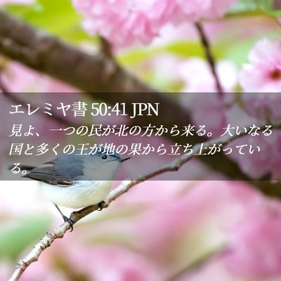 Picture 02 - エレミヤ書 50:41 JPN - 見よ、一つの民が北の方から来る。 - Bible Verse Picture