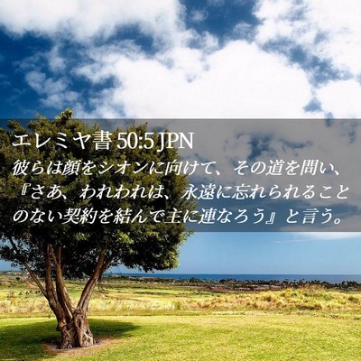 Picture 02 - エレミヤ書 50:5 JPN - 彼らは顔をシオンに向けて、その道 - Bible Verse Picture
