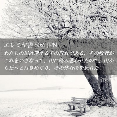 Picture 02 - エレミヤ書 50:6 JPN - わたしの民は迷える羊の群れである - Bible Verse Picture